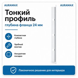 Люк ревизионный L2540N